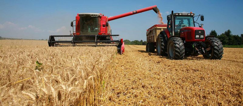 industries-agriculture